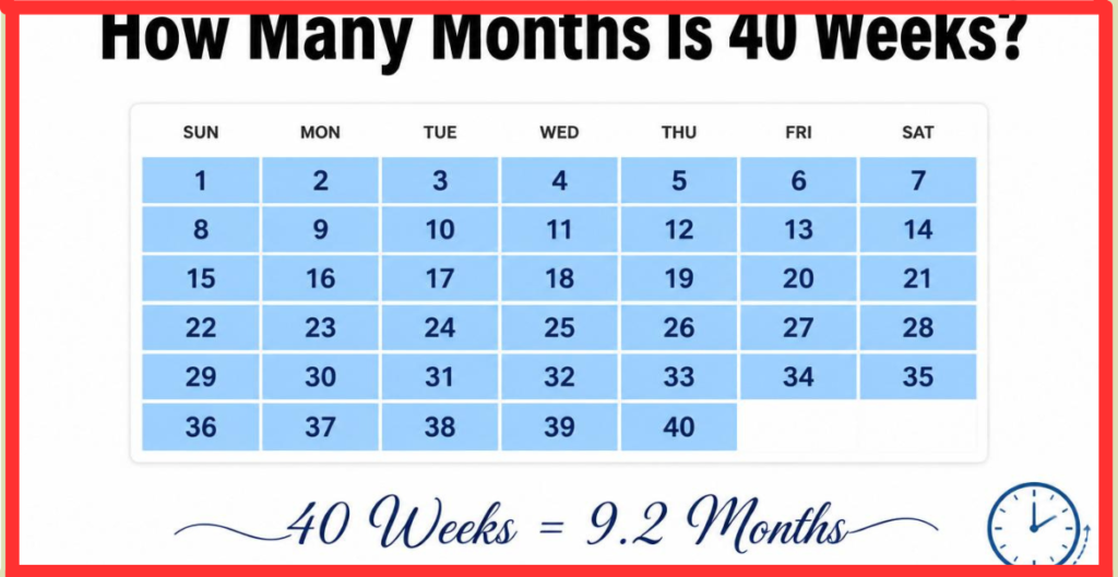 How Many Months Is 40 Weeks?